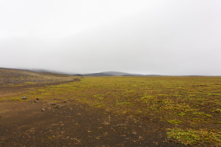 Iceland landscape. Thrihyrningsvatn lakeshore, central Iceland. Icelandic sceneryの写真素材