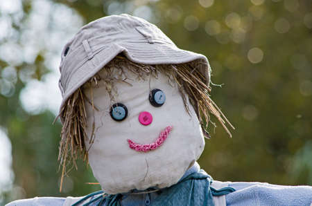 Scarecrow with gray hat and blue eyesの写真素材