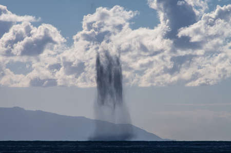 Tornados over mediterranean sea in a sunny winter dayの写真素材