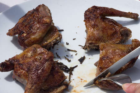 Grilled pigeonの写真素材