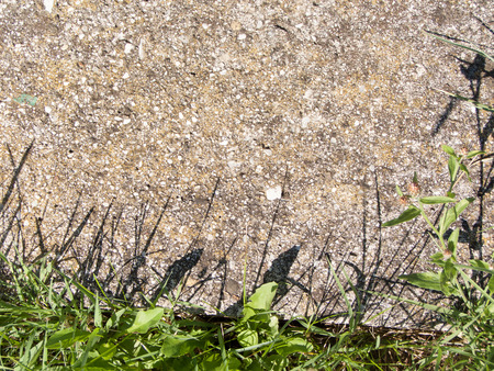 garden surface with bare land and green grassの写真素材