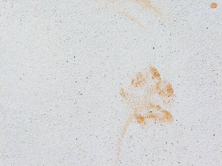 footprint of a dog on a white wallの写真素材