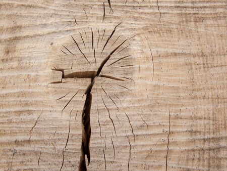 wooden trunk with the big cracksの写真素材