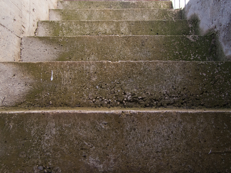 steps in concrete with a patina of green mossの写真素材