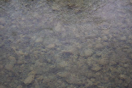 Ripples from rain to slow moving river water.
