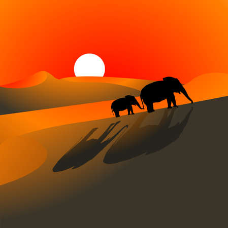 Illustration of elephants walking through the desert at sundownの写真素材
