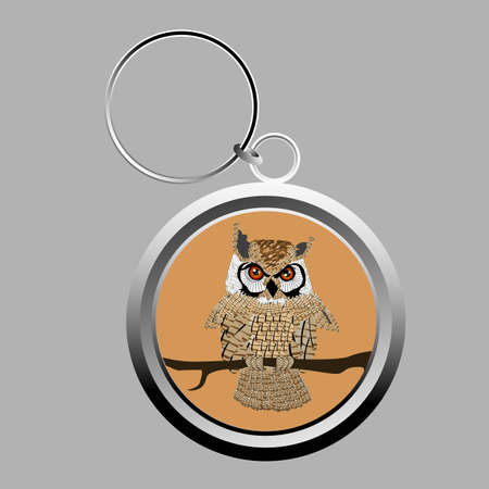 Cute owl key-chain on greyの写真素材