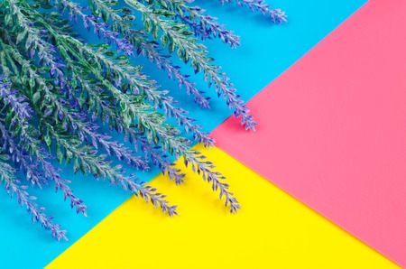 Bouquet of lavender lies on colorful blue yellow pink background. Flat lay spring backdrop with copy spaceの写真素材