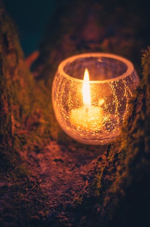 A small candle with warm orange flame in the tree night scene close-up