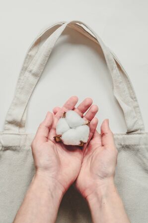 Two hands hold cotton flower and textile eco-friendly bag on white background. Concept of nature care manufacturing and plastic freeの写真素材