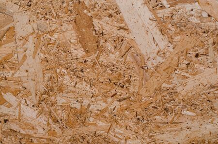 Oriented strand board texture. Natural wooden scratchy light beige background
