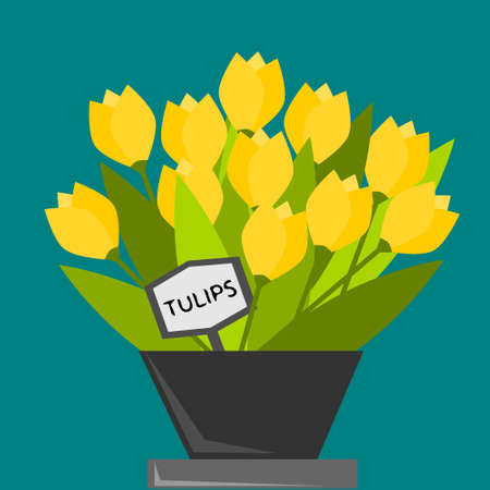 Tulips in a pot with the mark tulipsのイラスト素材