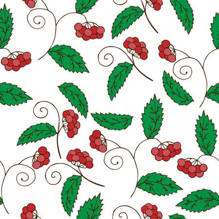 Seamless with red berry isolated on the white backgroundのイラスト素材