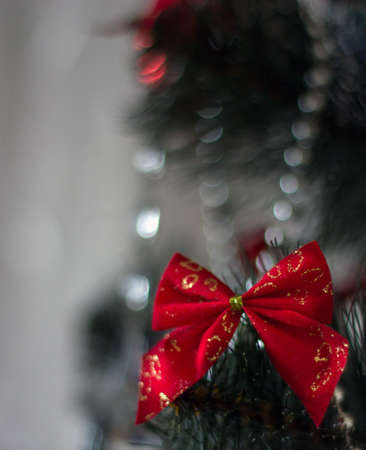 Greeting background with red bow and with place for text. Template for holiday card and other design.の写真素材