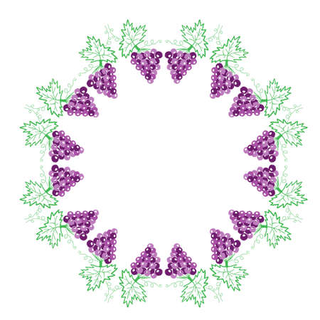 Vine with leaves and grapes frame pattern embroidery stitches imitation.のイラスト素材