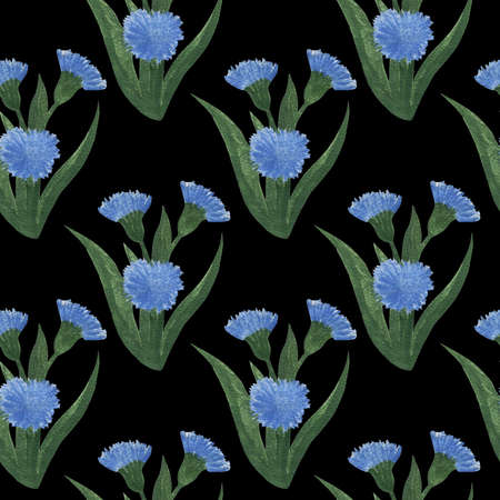 Watercolor hand painted seamless pattern with blue summer flowers. Floral watercolor illustration.の写真素材