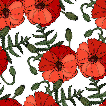 Poppy flowers floral seamless background isolated on the white. Vector artwork. Botanical design with red poppies.のイラスト素材