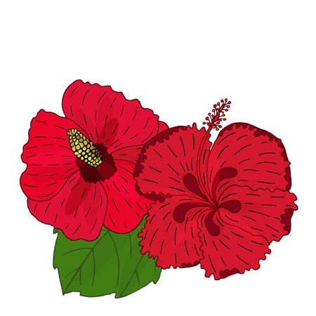 Summer tropical leaves and flower vector. Vector illustration with exotic flowers and leaves. Exotic colorful tropical bouquet.のイラスト素材