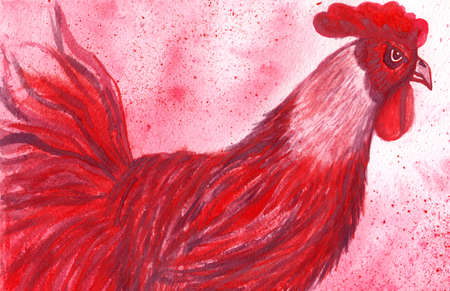 Watercolor red hen on red bright background. Watercolor beautiful hen.の写真素材