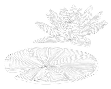 Black line exotic waterlily flower isolated on the white background. Waterlily coloring page or book.のイラスト素材