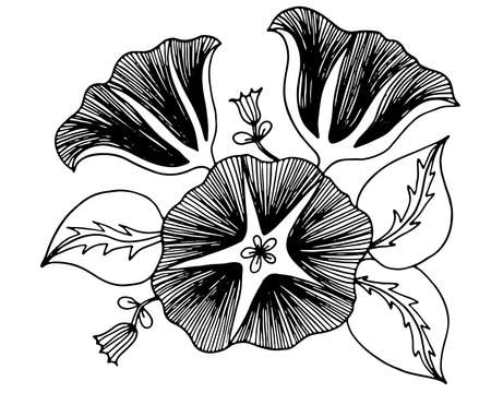 Art line flower isolated on the white background. Coloring flower for coloring page or book.のイラスト素材