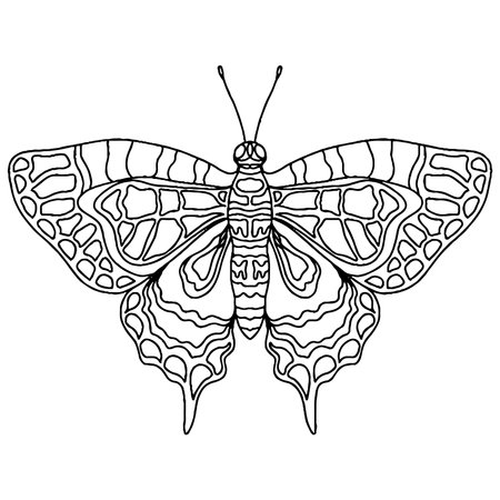 Black line butterfly for greeting card, coloring book. Vector butterfly isolatedのイラスト素材