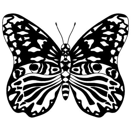 Black line butterfly for greeting card, coloring book. Vector butterfly isolatedのイラスト素材