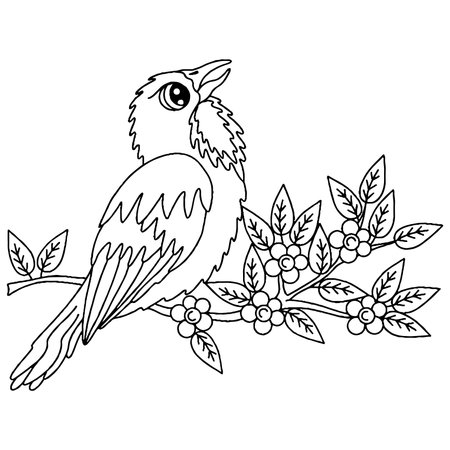 Bird for adult or child coloring book. Vector bird isolatedのイラスト素材
