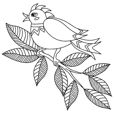 Bird for adult or child coloring book. Vector bird isolatedのイラスト素材