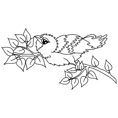 Bird for adult or child coloring book. Vector bird isolatedのイラスト素材