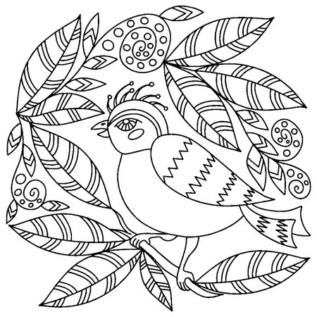 Bird for adult or child coloring book. Vector bird isolatedのイラスト素材
