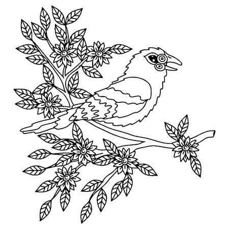 Bird for adult or child coloring book. Vector bird isolatedのイラスト素材
