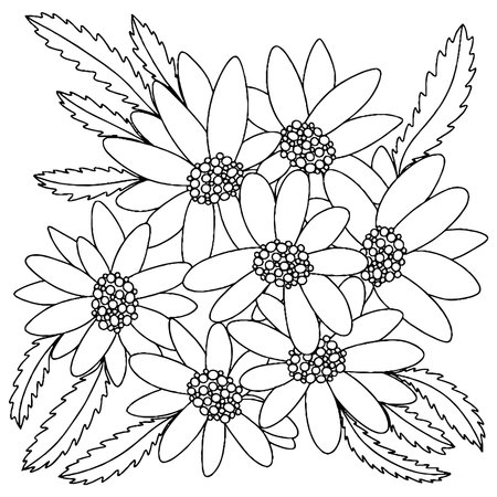Vector flower for coloring book or page. isolated flowerのイラスト素材