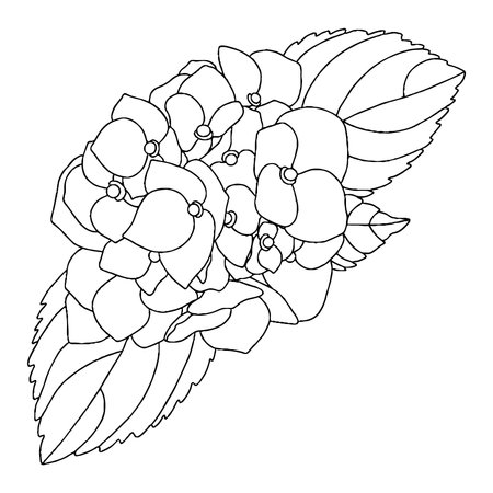 Vector flower for coloring book or page. isolated flowerのイラスト素材