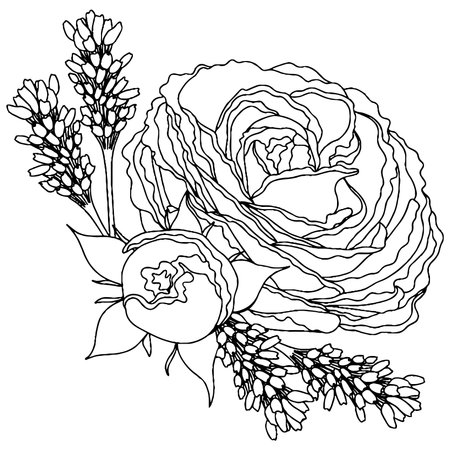 Vector flower for coloring book or page. isolated flowerのイラスト素材