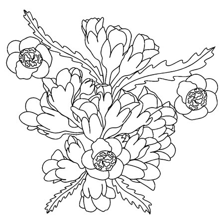 Vector flower for coloring book or page. isolated flowerのイラスト素材