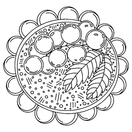 Vector dessert for coloring book for adults and kids. Black line dessert coloring page.のイラスト素材