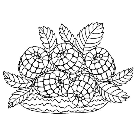 Vector dessert for coloring book for adults and kids. Black line dessert coloring page.のイラスト素材