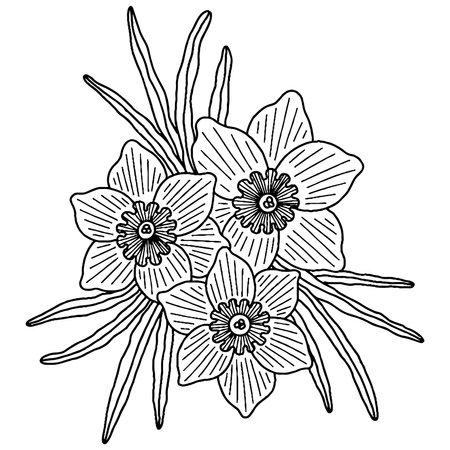 Vector beautiful flower for coloring book or page. isolated flowerのイラスト素材