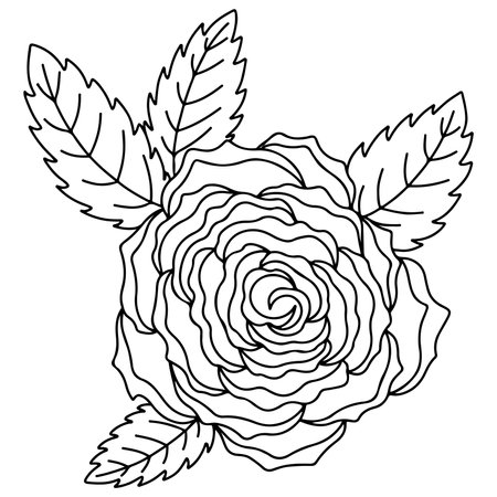 Vector flower for coloring book or page. isolated flowerのイラスト素材