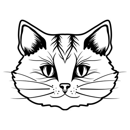 Hand draw cute cat coloring book or active page. Pet cat coloring book. Animal vectorのイラスト素材