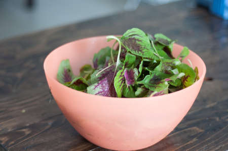 Purple spinach leaves in a bowl. Fresh mix of green and purple spinach on table close up. Dish cooking at home.の写真素材