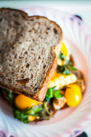 close up vegetable sandwich fresh and healthyの写真素材