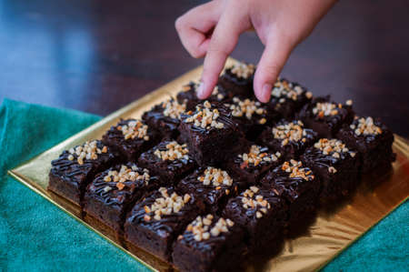 Chocolate Cake Brownie Squares Drizzled With Chocolate and Walnuts. Closeup view, selective focusの写真素材