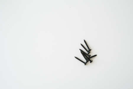 Black screws of self-tapping screws of same sizes isolated on white background.の写真素材
