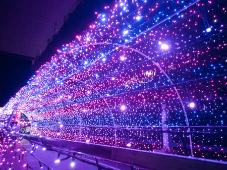 Amazing light festival.