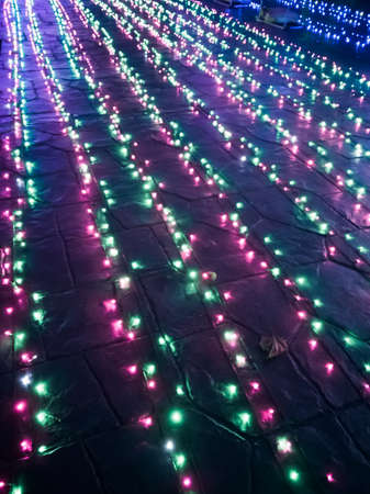 Amazing light festival.