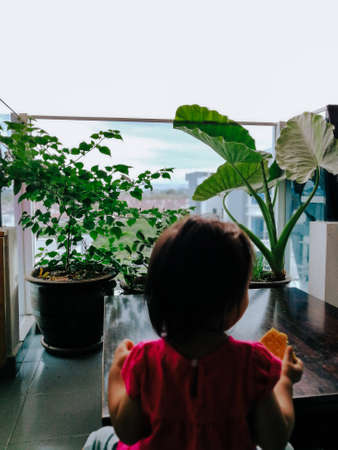 Child toddler watching the greenery house plants.の写真素材
