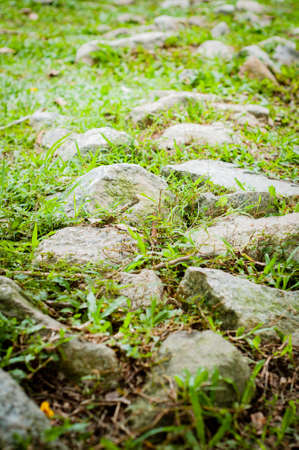stone pathway on green grass.の写真素材