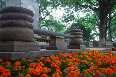 Wuhan, China - April 24, 2019: Ting Tao Scenic Area in Wuhan East Lake Sakura Garden,Wuhan,China.のeditorial素材